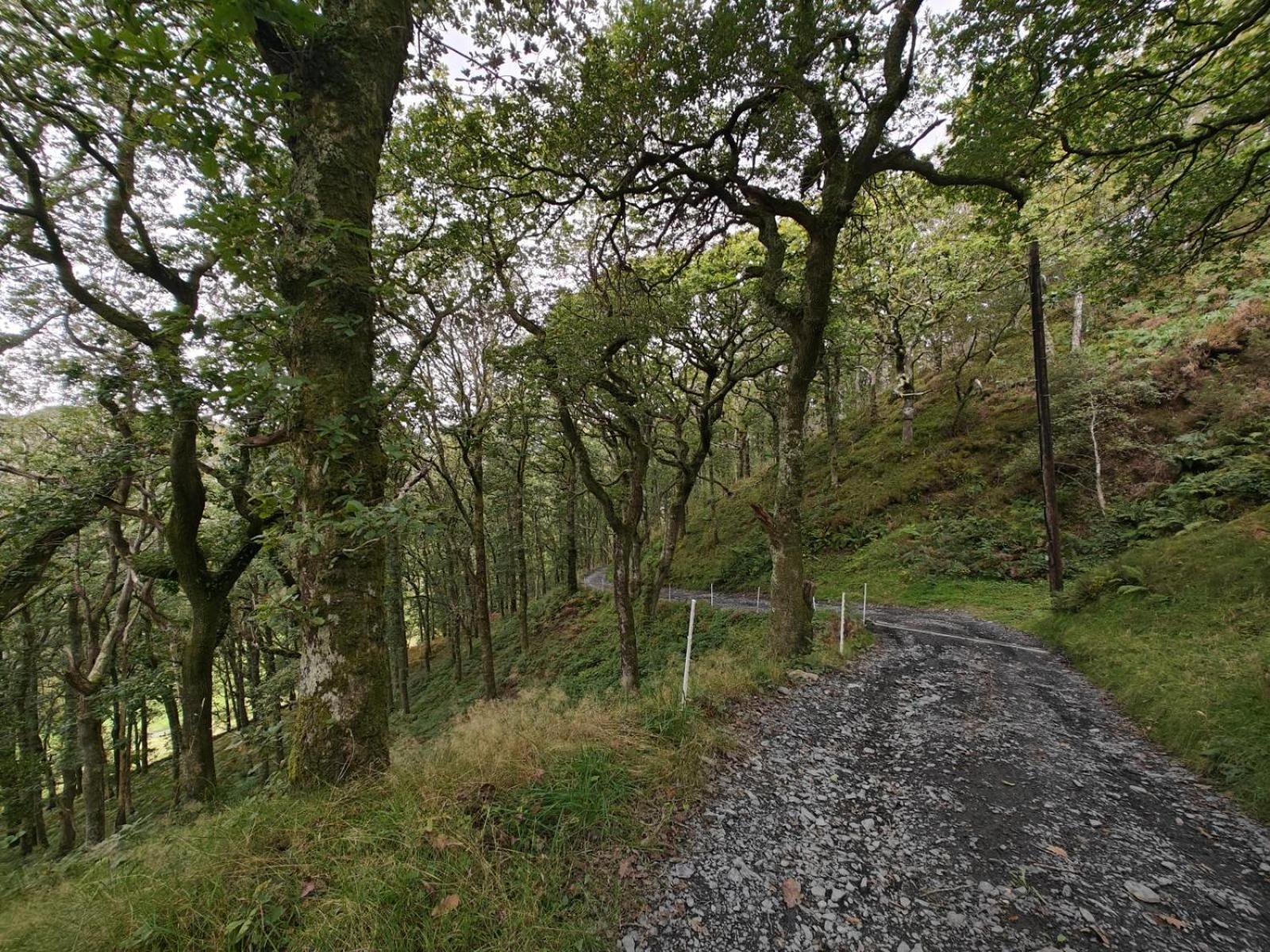 Y Cwtch - Panoramic Mountain Views Within Snowdonia'S National Park - 4X4 Recommended Villa Dolgellau Bagian luar foto